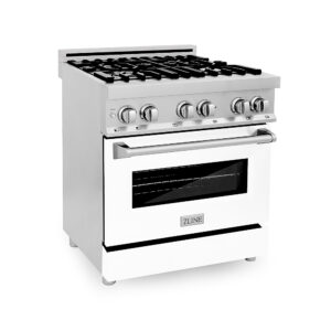 ZLINE – Professional 4 Cu. Ft. Freestanding Dual Fuel Convection Range – Stainless Steel