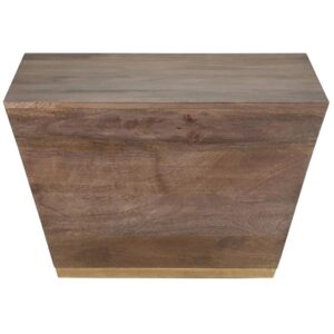 Simpli Home – Abba Square Modern Mango Wood Coffee Table – Dark Brown